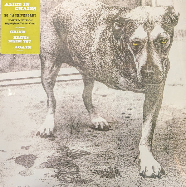 Alice In Chains - Alice In Chains [30th Anniversary 2x Yellow LP]