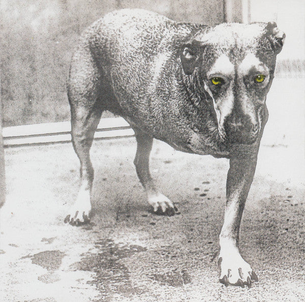 Alice in Chains - Alice in Chains [CD]