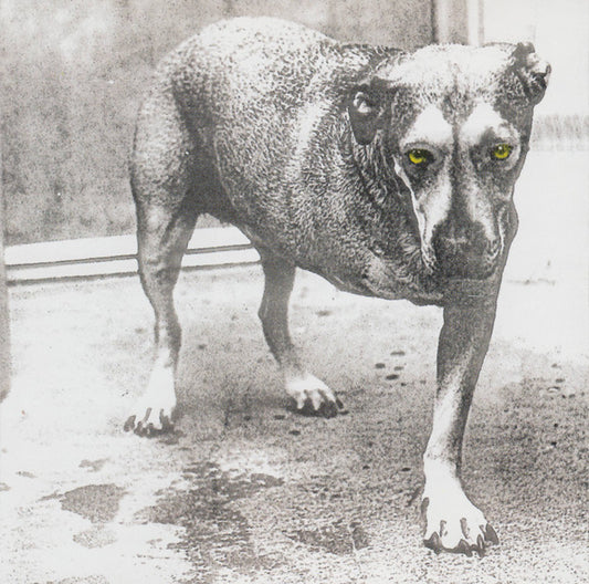 Alice in Chains - Alice in Chains [CD]